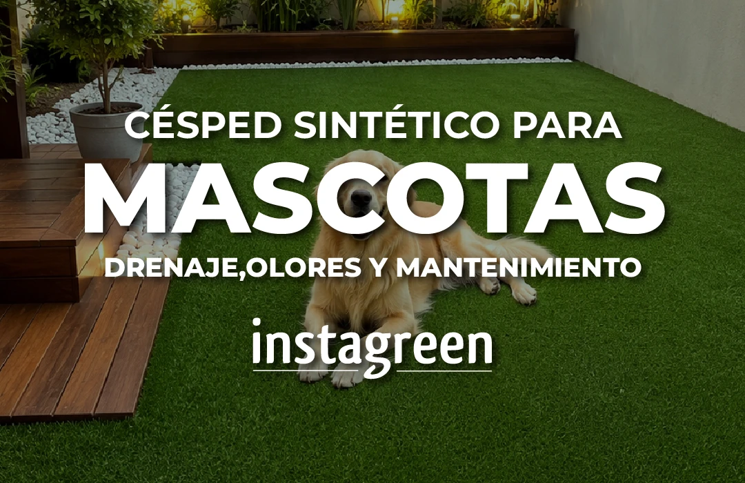Césped sintético para mascotas en Costa Rica: drenaje, olores y mantenimiento real
