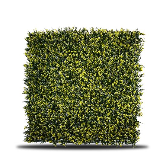 Tea Leaf